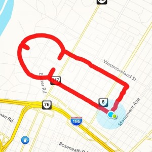 Olmstead would have disapproved of the symmetry